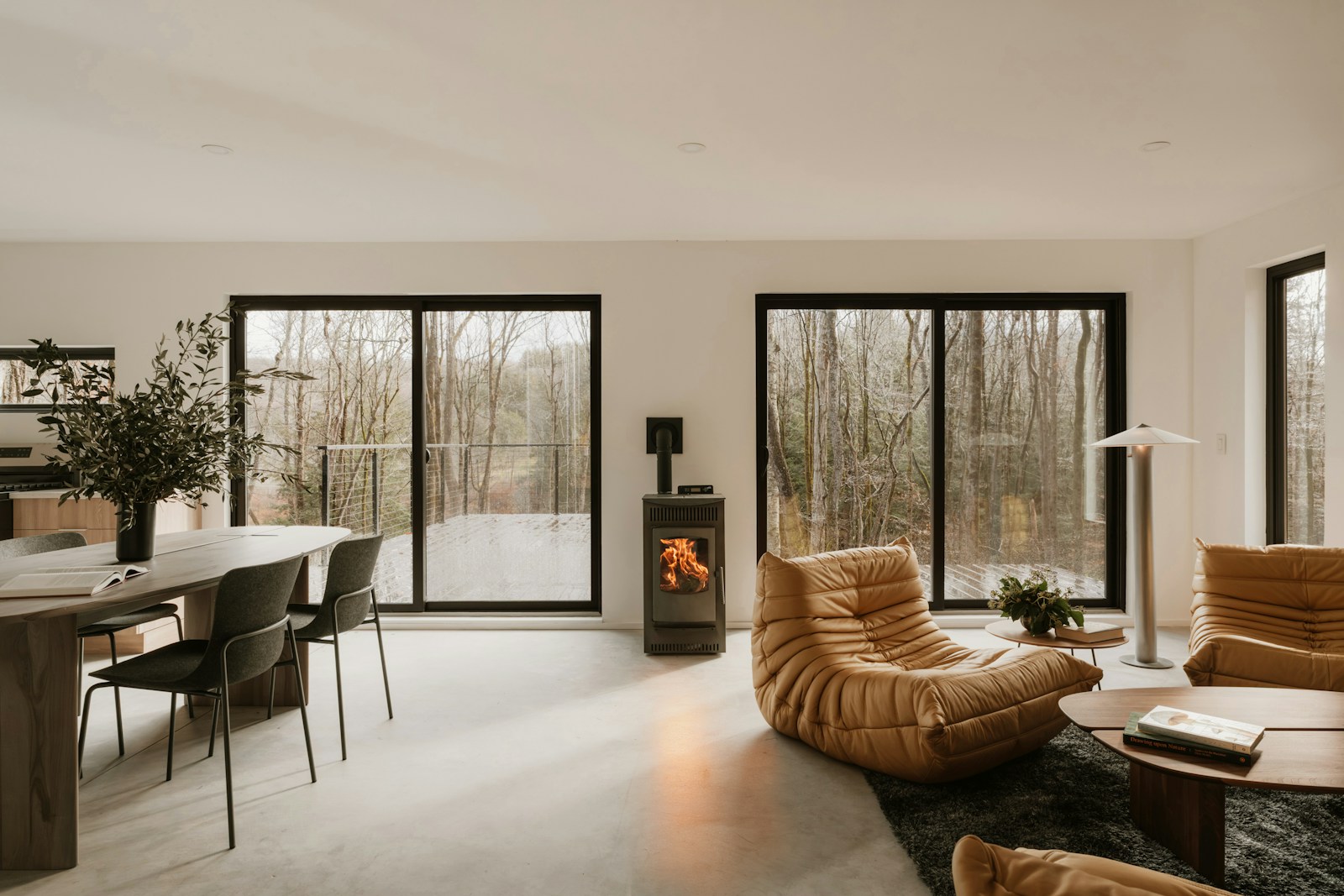 Modern living room with fireplace and forest view